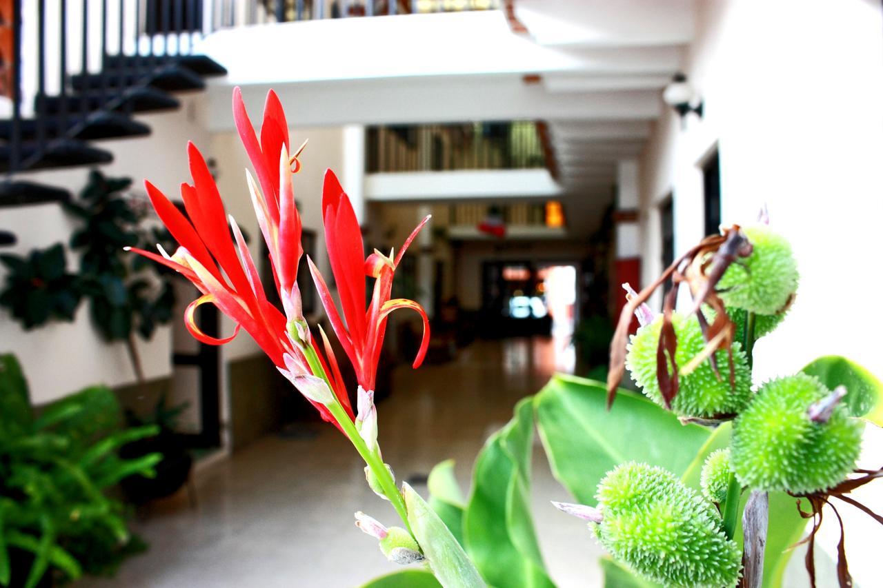 Casa Blanca Tequisquiapan Hotel Eksteriør billede